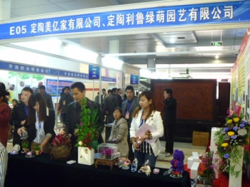 夢之草保鮮花在北京、菏澤花博會上大放異彩