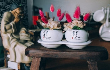 夢之草?保真卉作為唯一一個(gè)保鮮花品牌脫穎而出