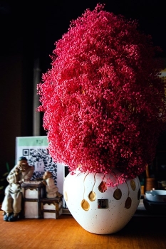 感謝對(duì)夢之草?品牌的肯定與支持